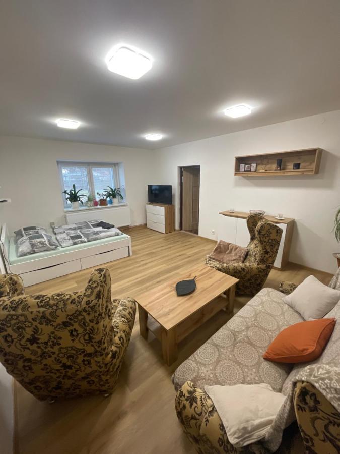 Apartmany Pod Chlumem Jeseník Екстериор снимка